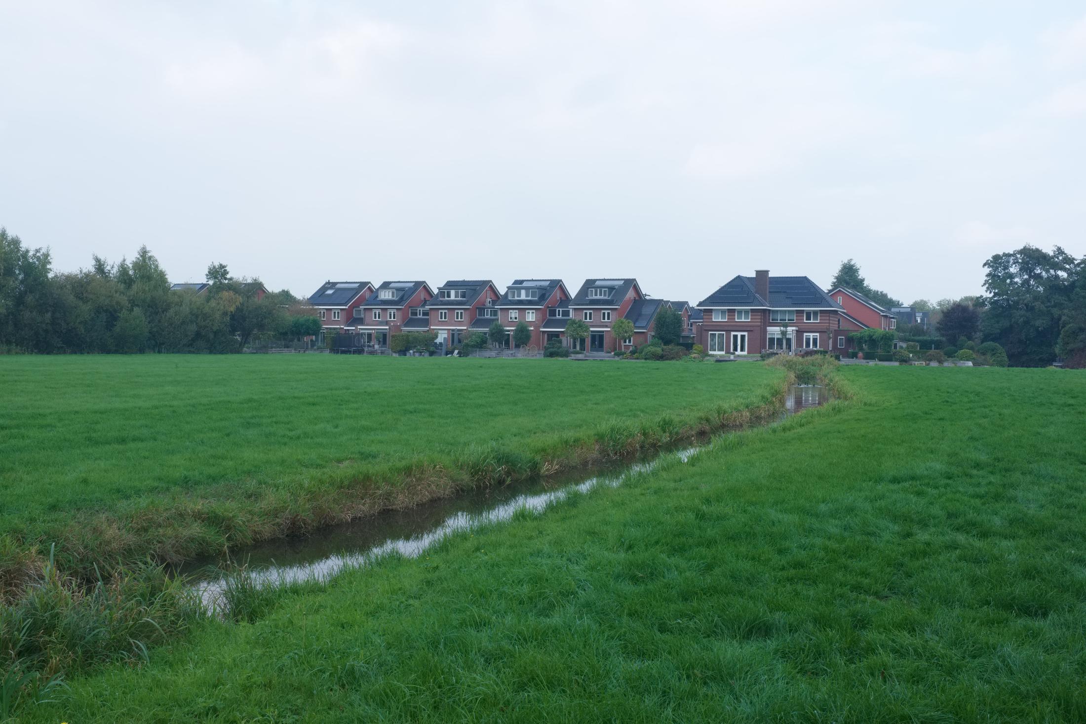 Housing and Open Space | Buy this image