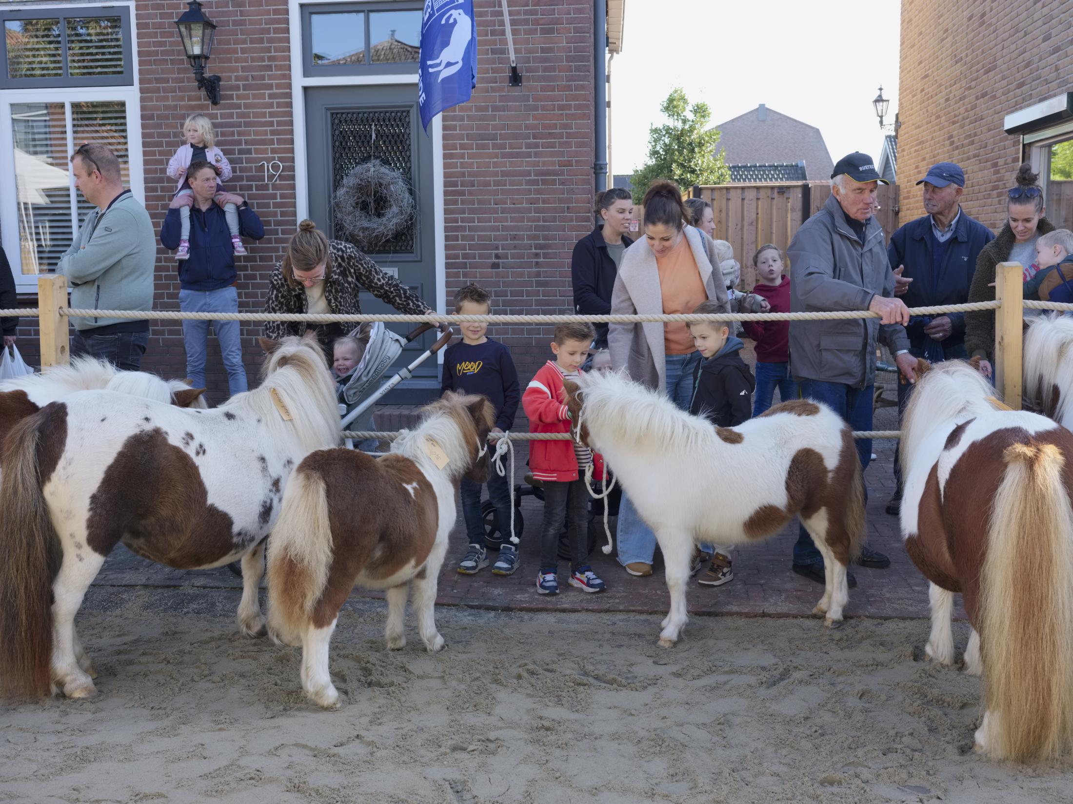 Horse Market | Buy this image