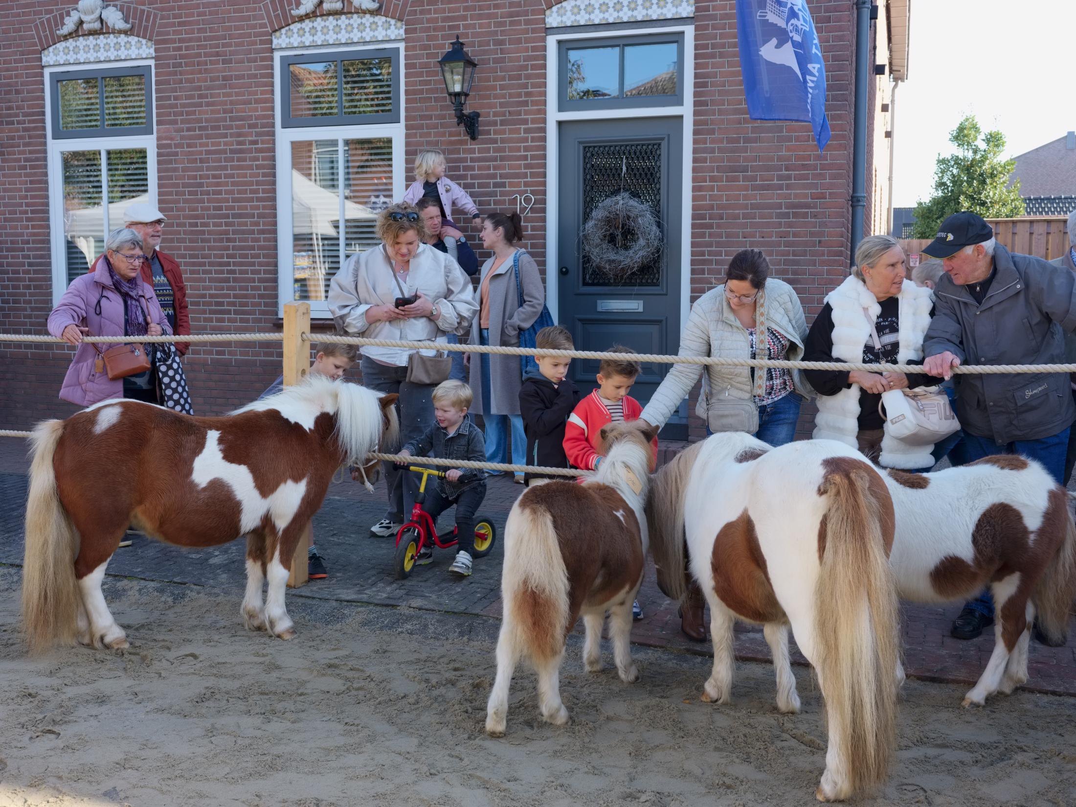 Horse Market | Buy this image