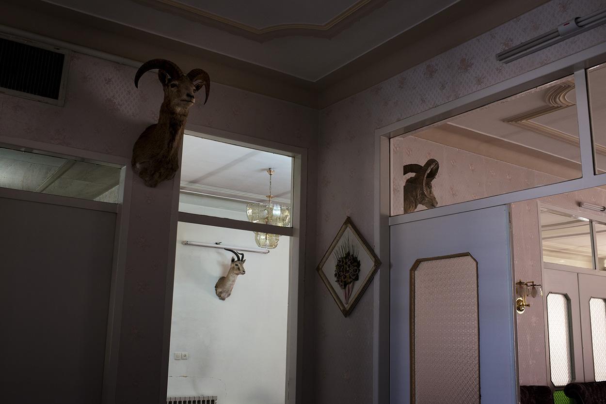  Inside Mohammad Ali&rsquo;s house where he has the animals taxidermied and decorating the...