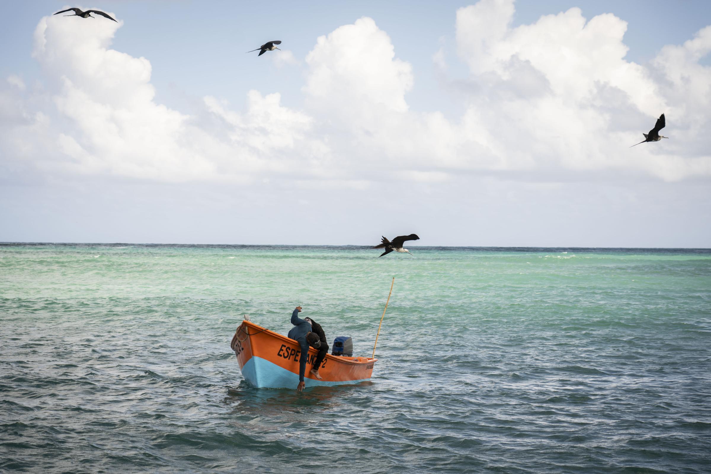 The Island  - November 4, 2023, Samaná, DR: A fisherman wades in...