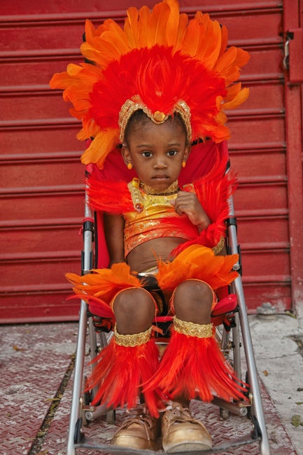 Brooklyn Carnival By Michael Webster