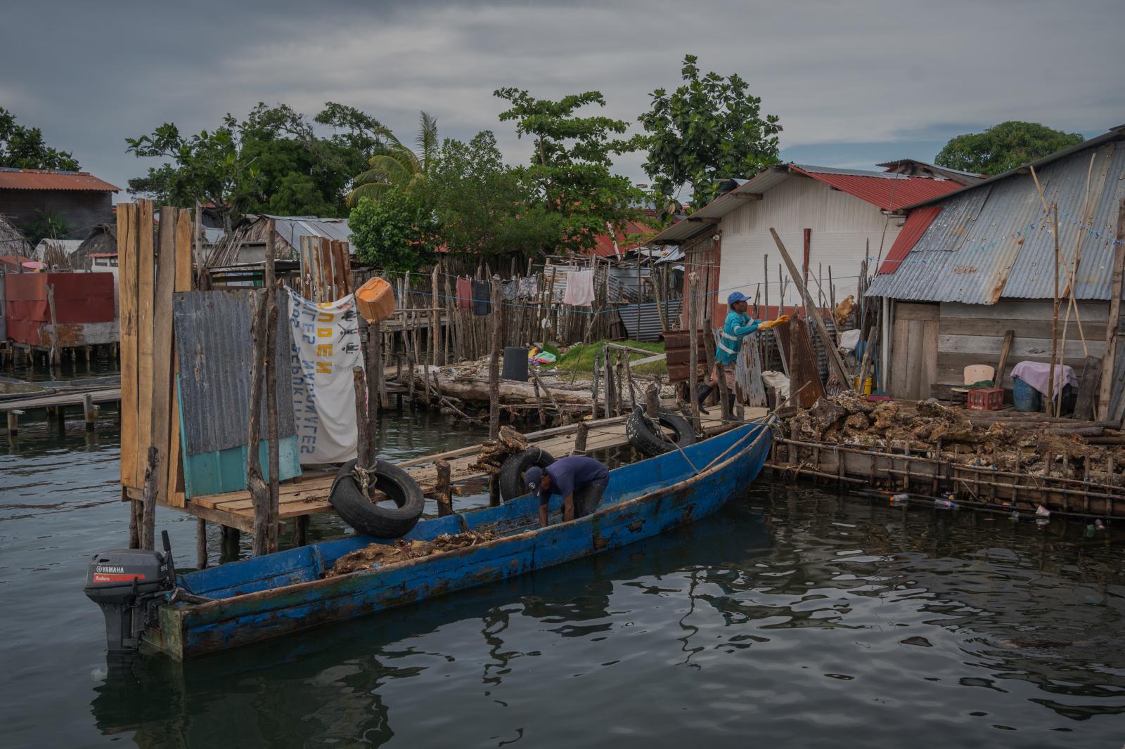 Carti Sugdub: The sinking island -   