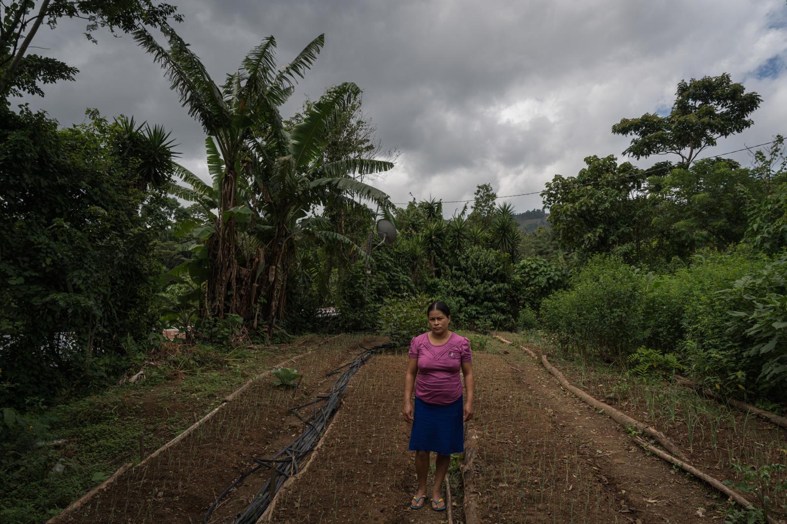 The Dry Corridor: How climate change causes mass migration from Central America - Portrait of Hilda &Aacute;valos (40) in one of the community vegetable gardens in Talquezal,...