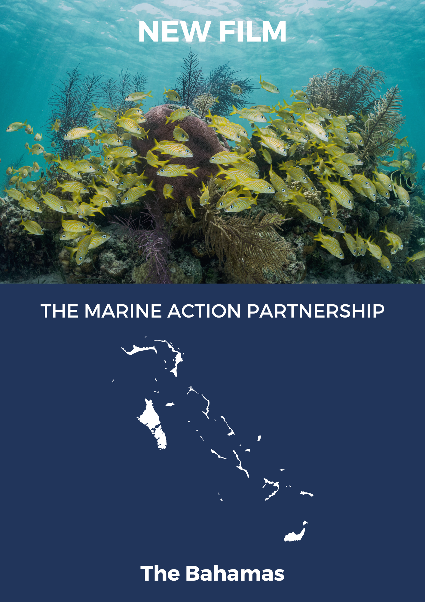 Watch Now: The Marine Action Partnership