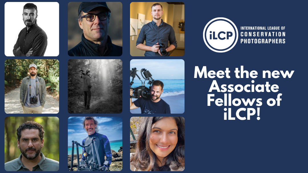 Announcing the newest Associate Fellows of iLCP!
