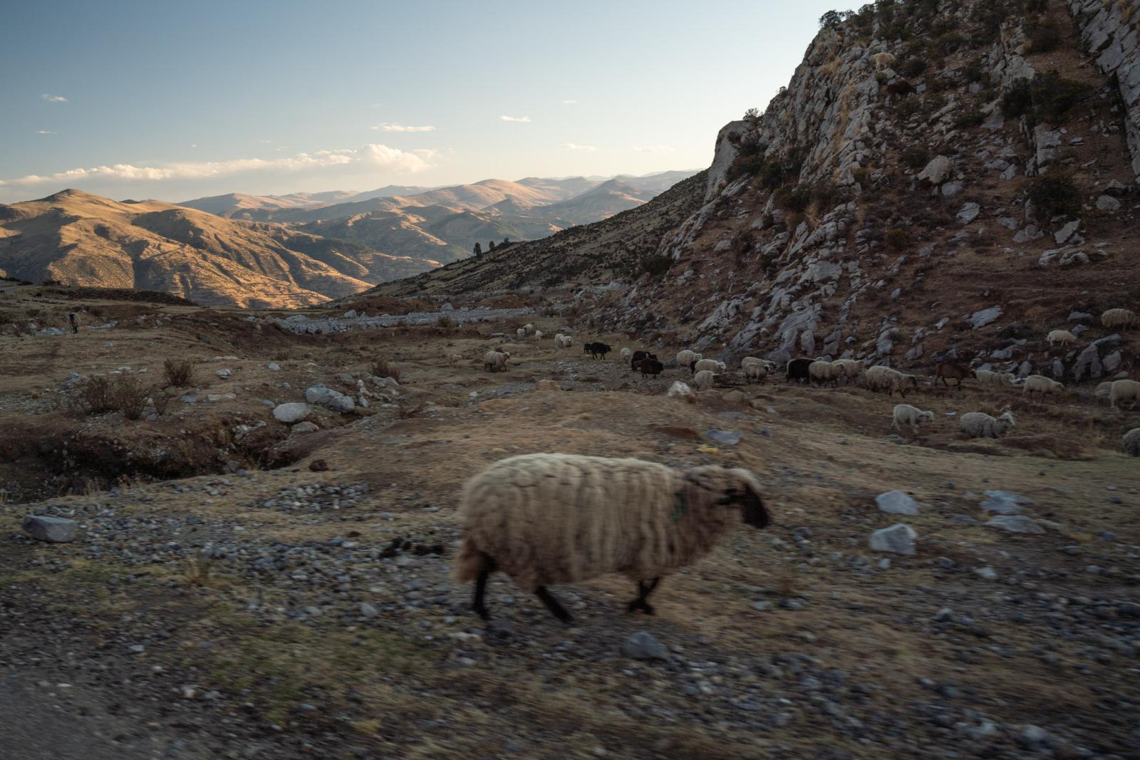 Livestock and agriculture are t...s they consume. Per&uacute;