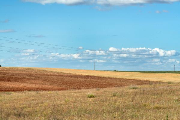 Climate Change Hits Southern Europe - Portugal, Moura, 2022/05/16. Wheat fields in the Alentejo...
