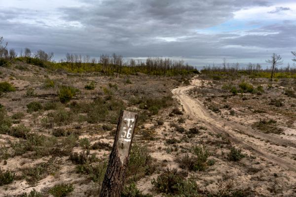Climate Change Hits Southern Europe - Portugal, Praia da Tocha, 2022/03/02. The remains of the...