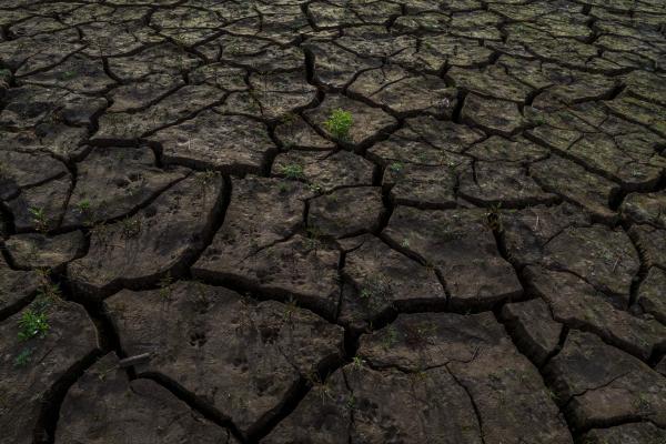 Climate Change Hits Southern Europe - Portugal, Figueiró dos Vinhos, 2022/03/03. The dry...