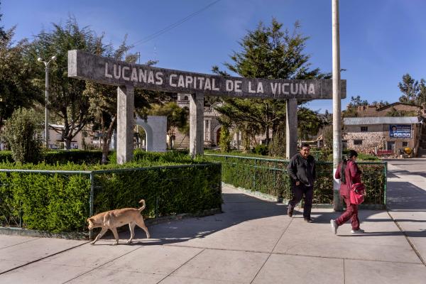 Image from How Peru Saved the Vicuñas - Peru, Lucanas, 2022/09/13. A square at the center of the...