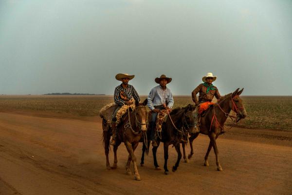 The Chapadão dos Parecis - Brazil, Sapezal, 2022/09/01. Farm workers return from the...