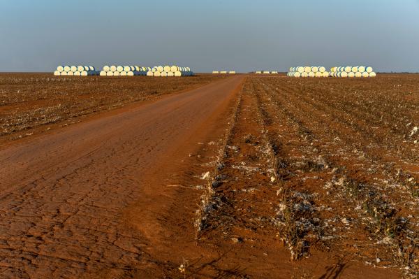 Image from The Chapadão dos Parecis - Brazil, Sapezal, 2022/09/04. Bales of cotton in recently...