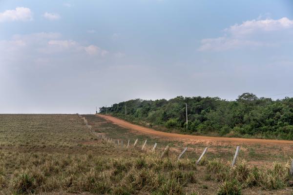 The Chapadão dos Parecis - Brazil, Sapezal, 2022/09/01. A forest area in a farm in...