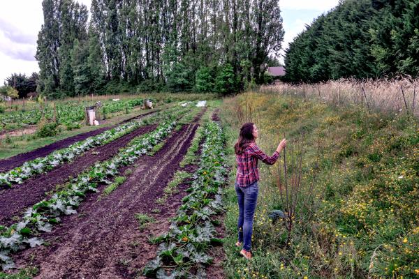 Hectar, an attempt to reinvent the farm - - France, Saint-Nom-La-Bretèche, 2022/07/01. Elise...