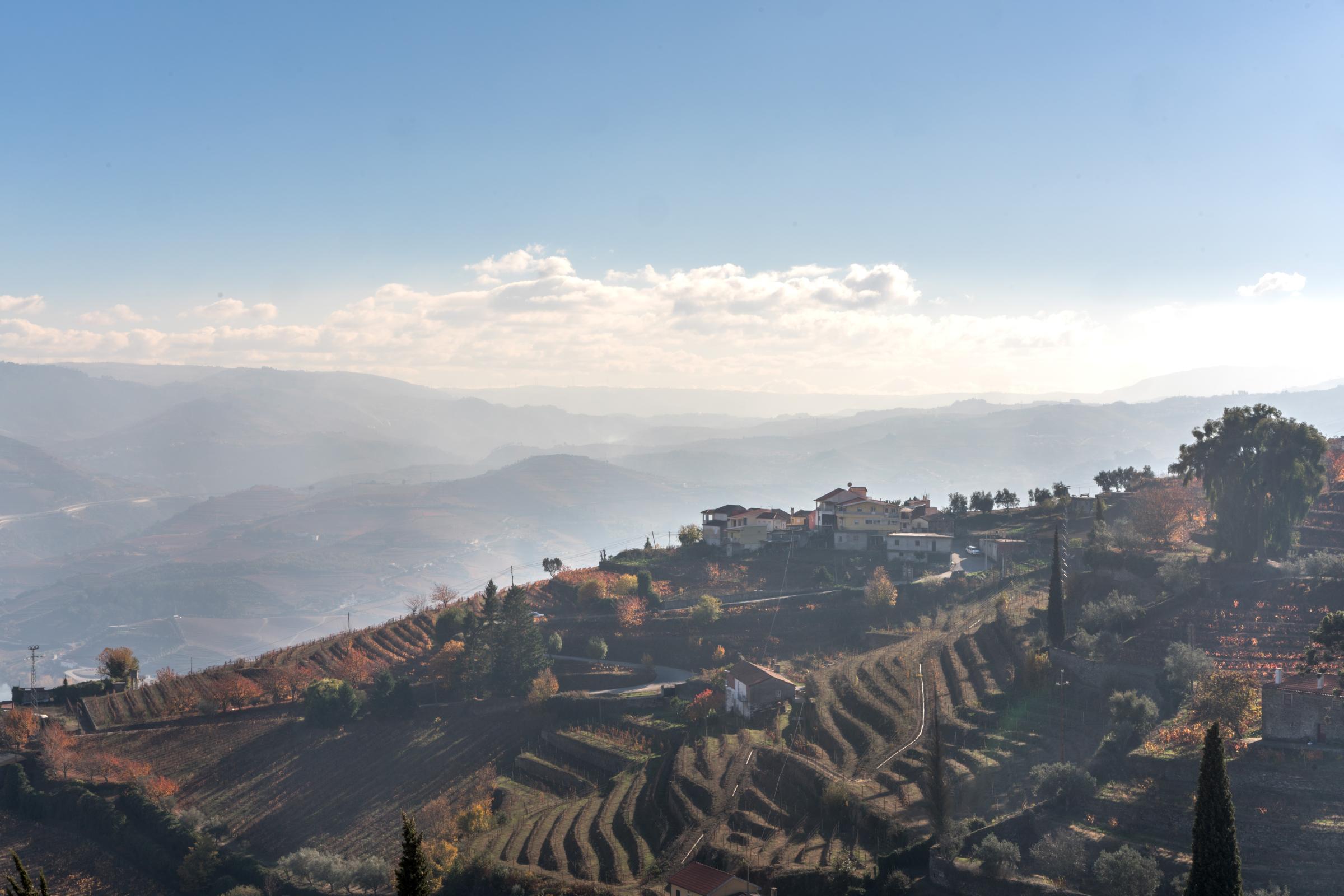 Comissions - View of the Douro river valley seen from Quinta Santa...