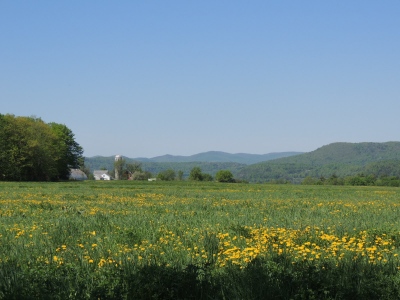 Image from Spring