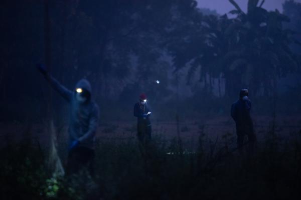 For NPR: The Nipah virus has a kill rate of 70%. Bats carry it. But how does it jump to humans? - After setting the nets, field researchers and the volunteers waits for bats to hook up at dawn in...