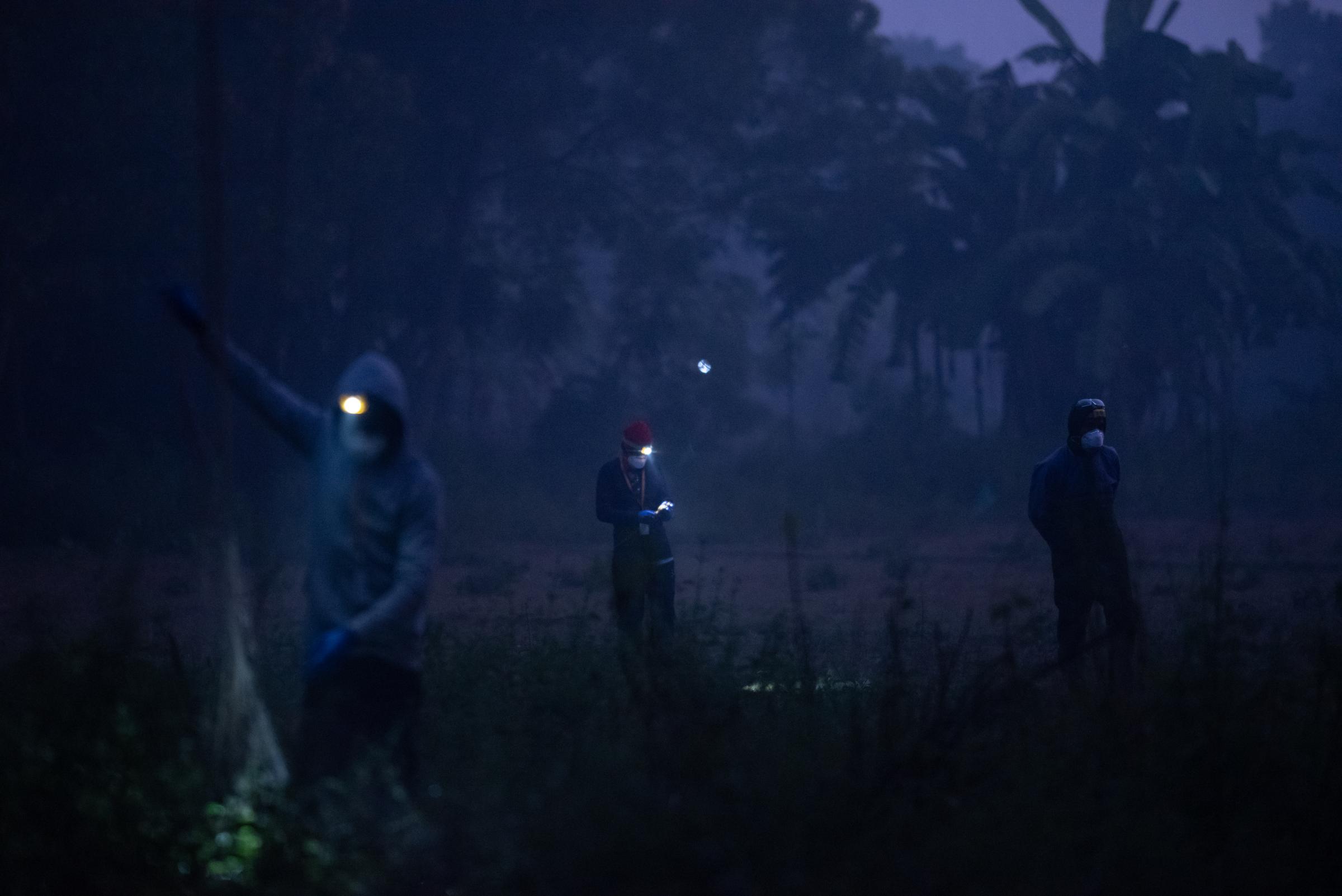 For NPR: The Nipah virus has a kill rate of 70%. Bats carry it. But how does it jump to humans?
