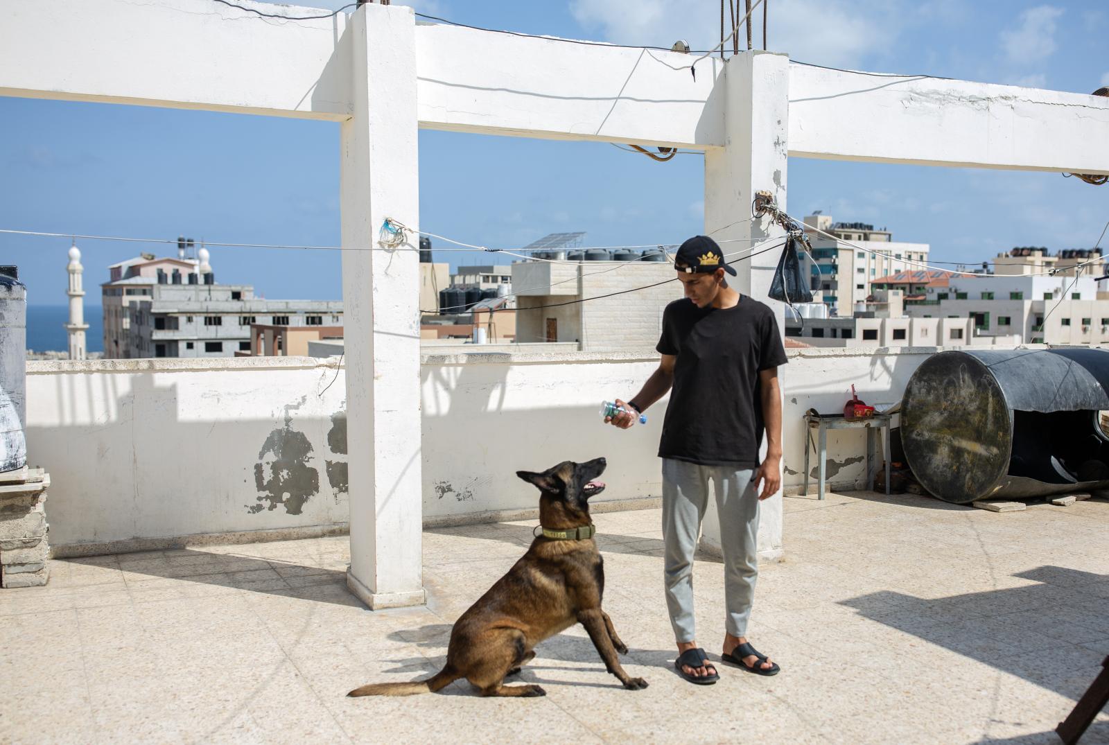 Mohammed and the Belgian Malinois