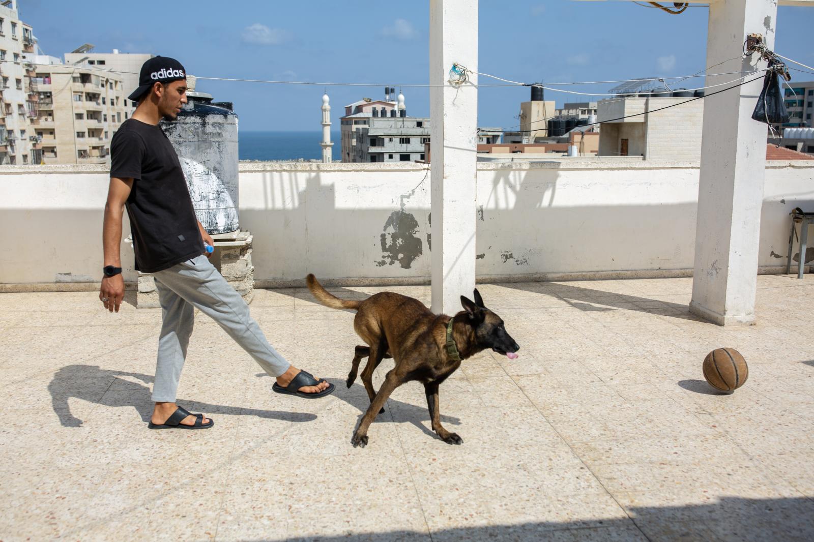 Mohammed and the Belgian Malinois