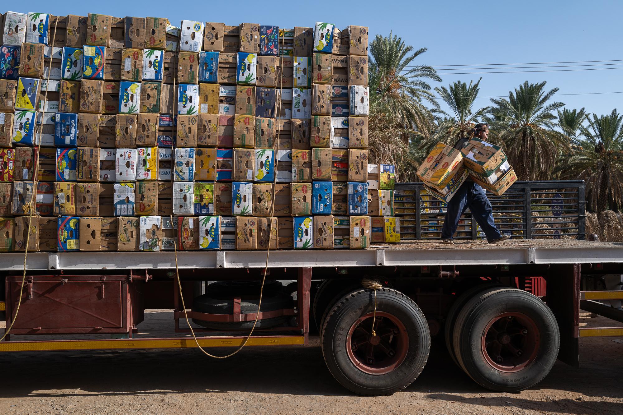 Saudi Arabia: Beyond The Petrol Wealth - The boxes of dates are transported on large trailers to the factories, where they are finely...