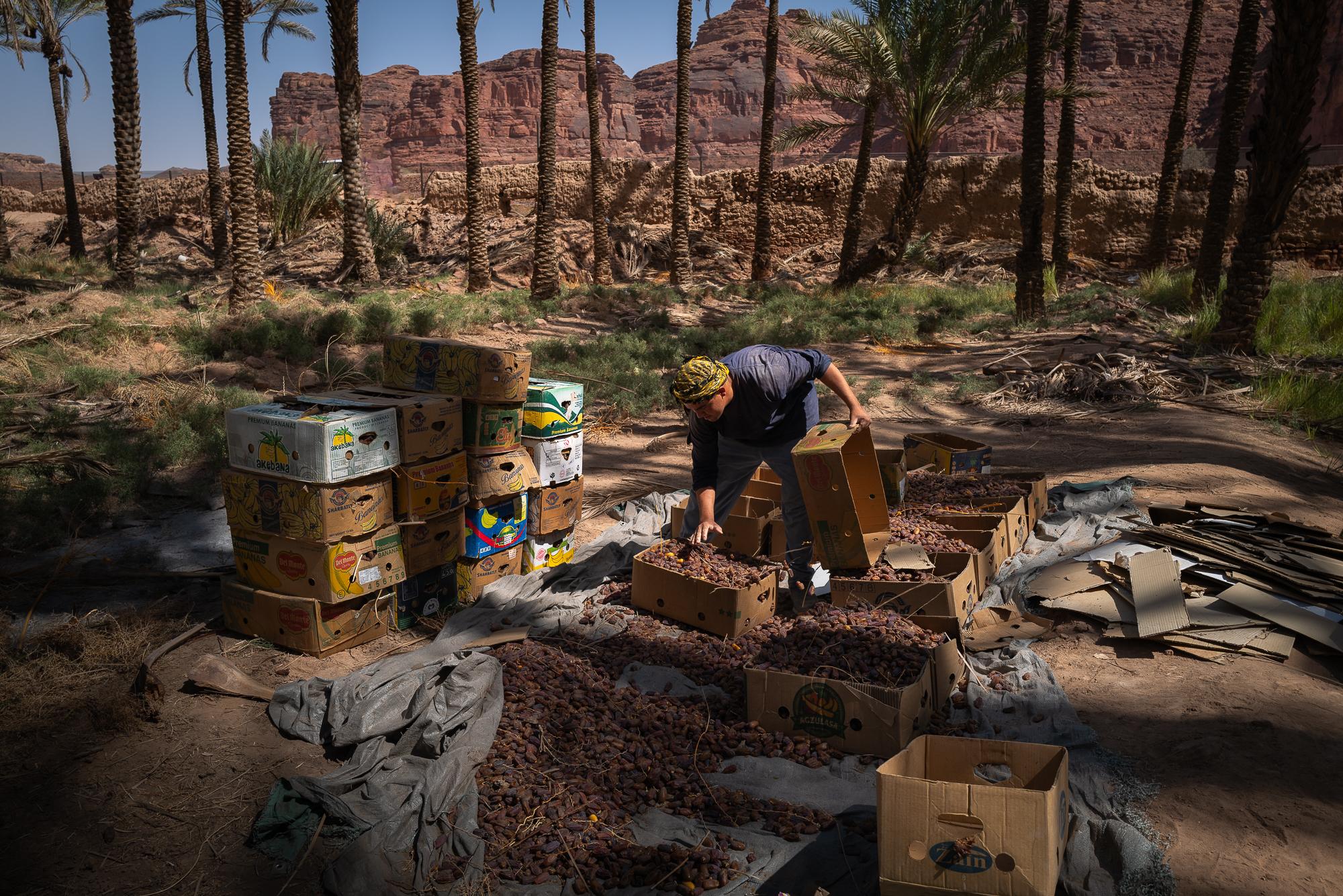 Saudi Arabia: Beyond The Petrol Wealth - Packed in cartons, the fruit is prepared for onward transportation.