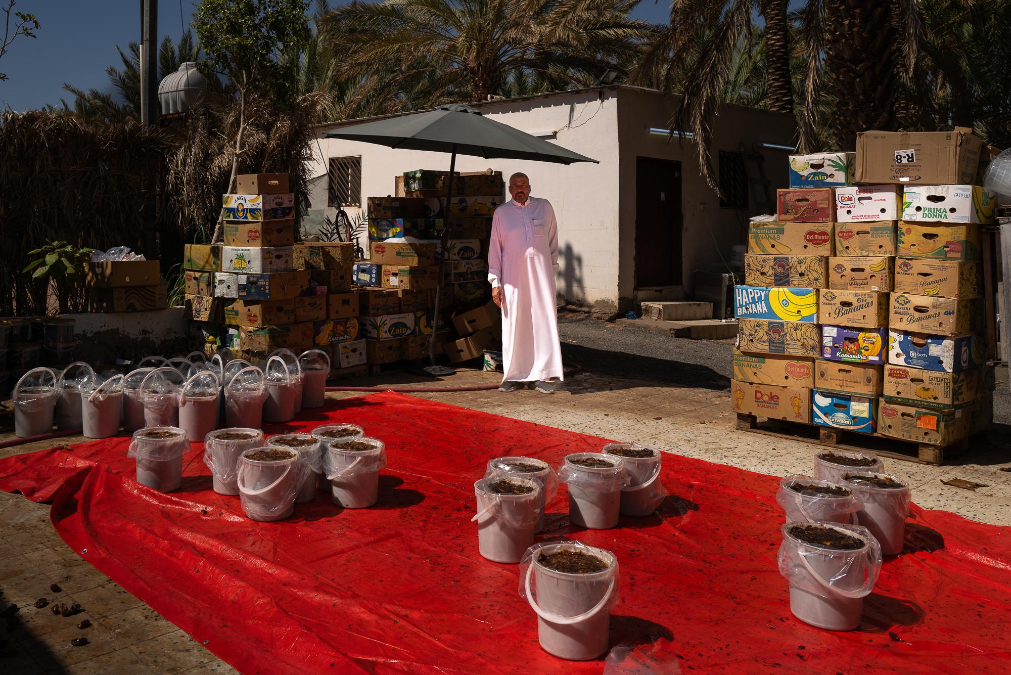 Saudi Arabia: Beyond The Petrol Wealth - The senior boss of the Zuayr family on his approx. 80 years old private date farm in...