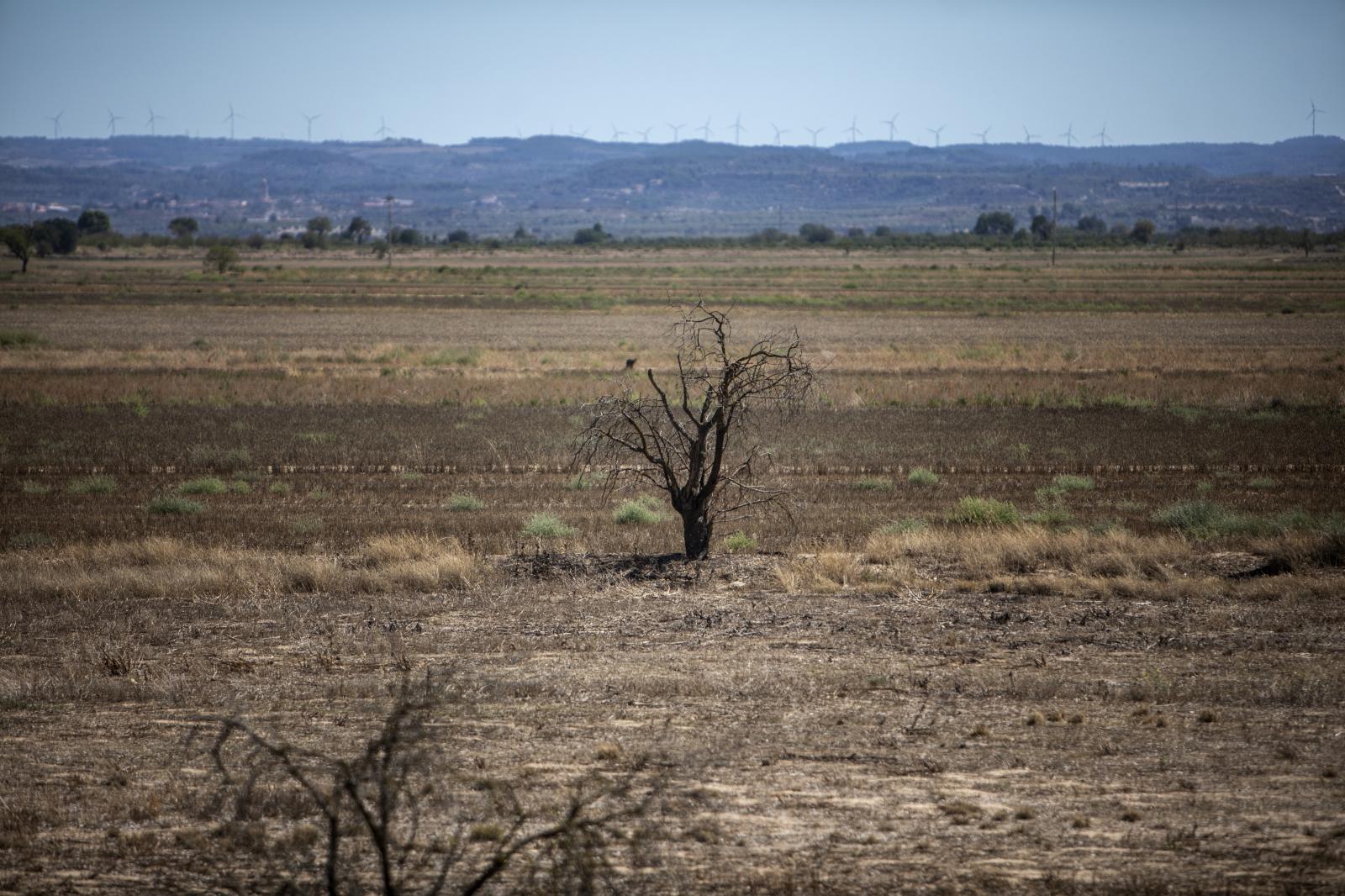 Living under atmospheric pressure