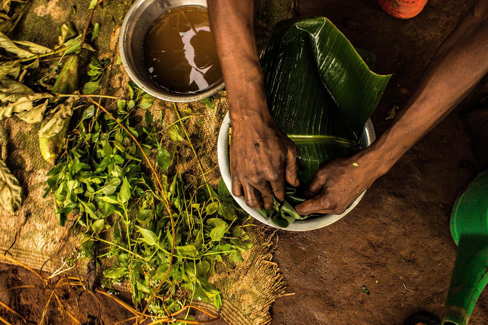 The herbalist (Long term) - Wasswa Denis uses a banana leaf to wrap the selected...