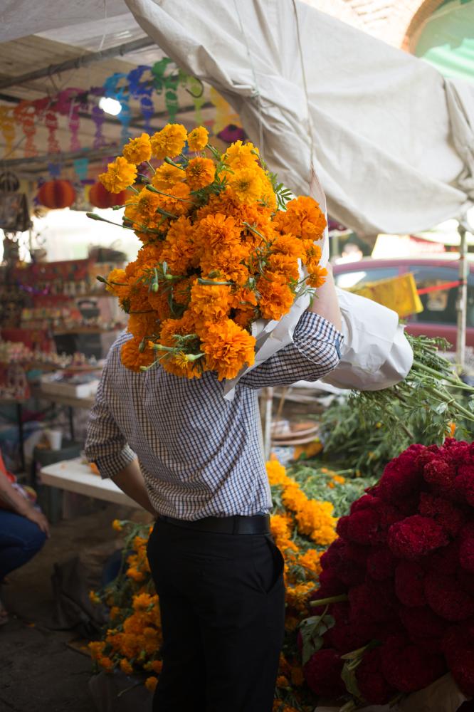 Image from Homepage - A man holds a bouquet of marigolds outside of the Benito...