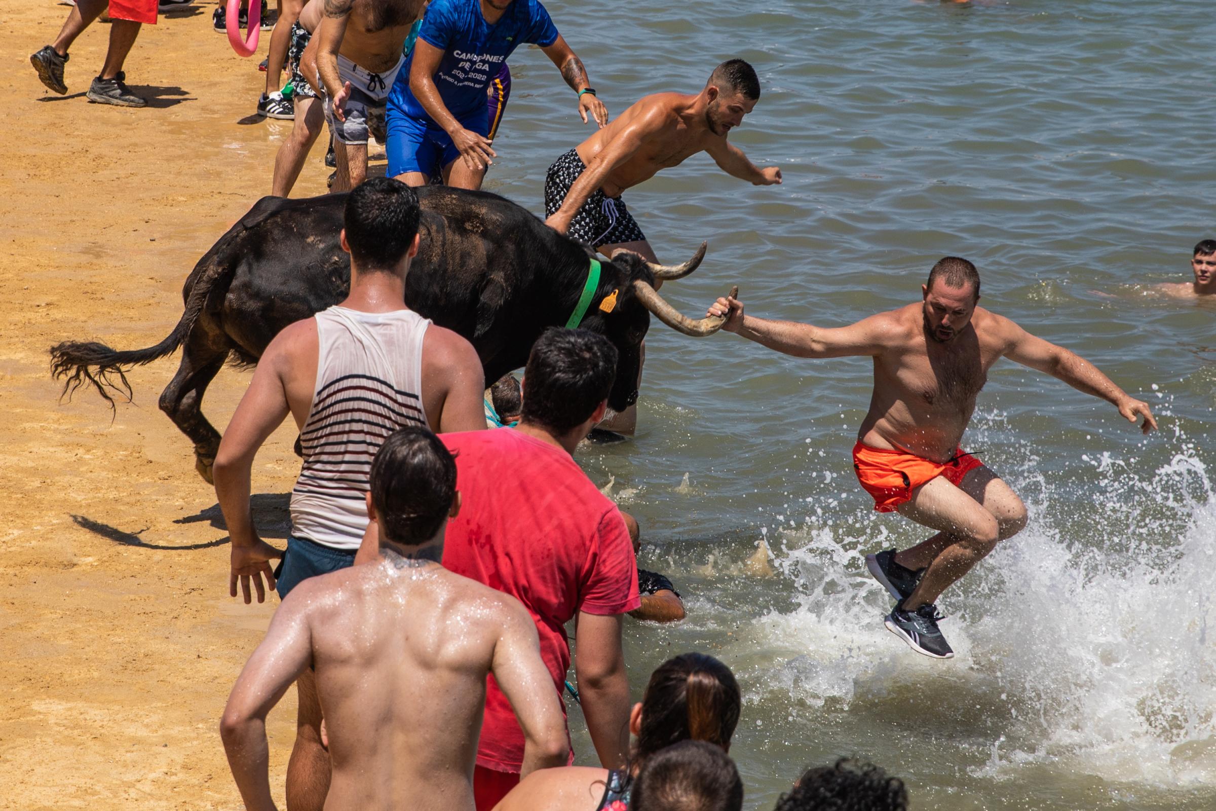 At 'Bous A La Mar', Revelers Take Plunge To Dodge Bulls And Beat The Heat - DENIA, SPAIN - JULY 17: A participant in the running of...