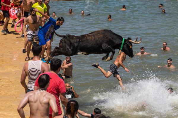 At 'Bous A La Mar', Revelers Take Plunge To Dodge Bulls And Beat The Heat