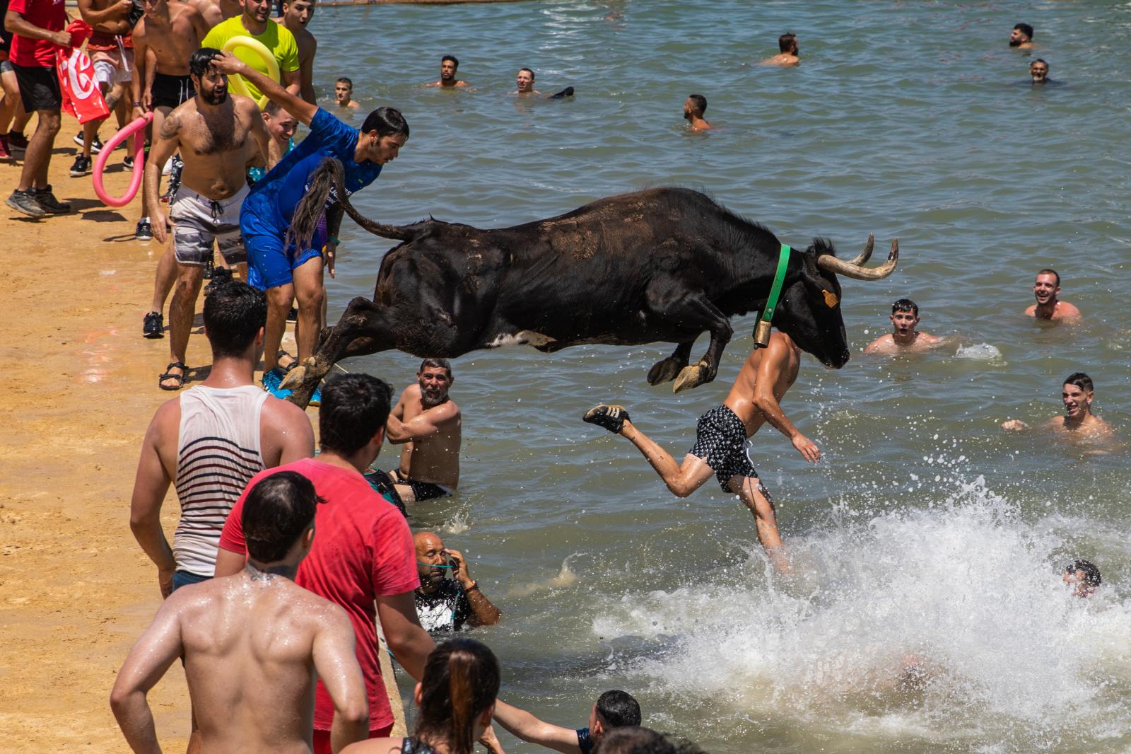 DENIA, SPAIN - JULY 17: The bul...oeten/Getty Images) Denia Spain