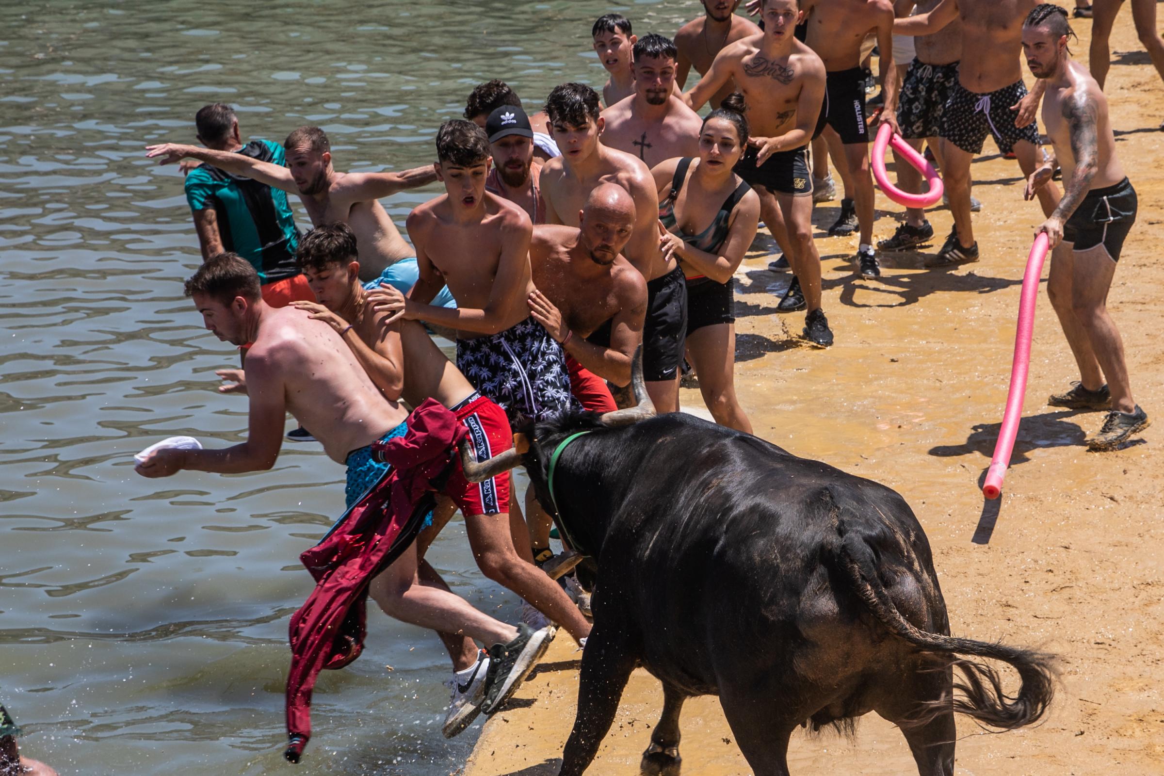 At 'Bous A La Mar', Revelers Take Plunge To Dodge Bulls And Beat The Heat - DENIA, SPAIN - JULY 17: Participants have fun with the...