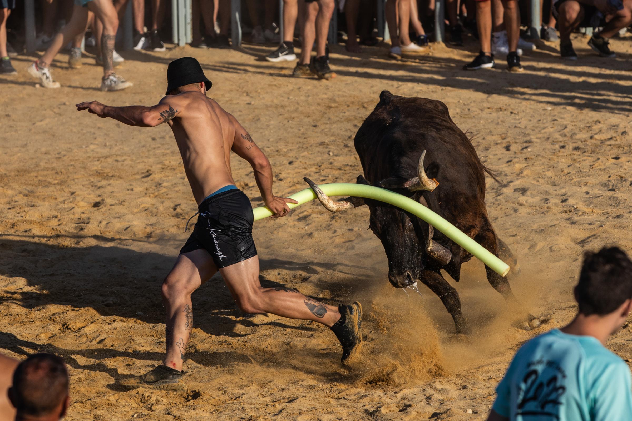 At 'Bous A La Mar', Revelers Take Plunge To Dodge Bulls And Beat The Heat - DENIA, SPAIN - JULY 17: A participant plays with the bull...