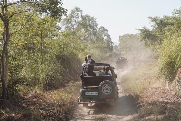 Kaziranga National Park | Buy this image