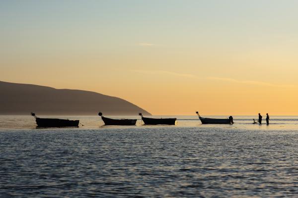 Vlora Fishing Boats | Buy this image