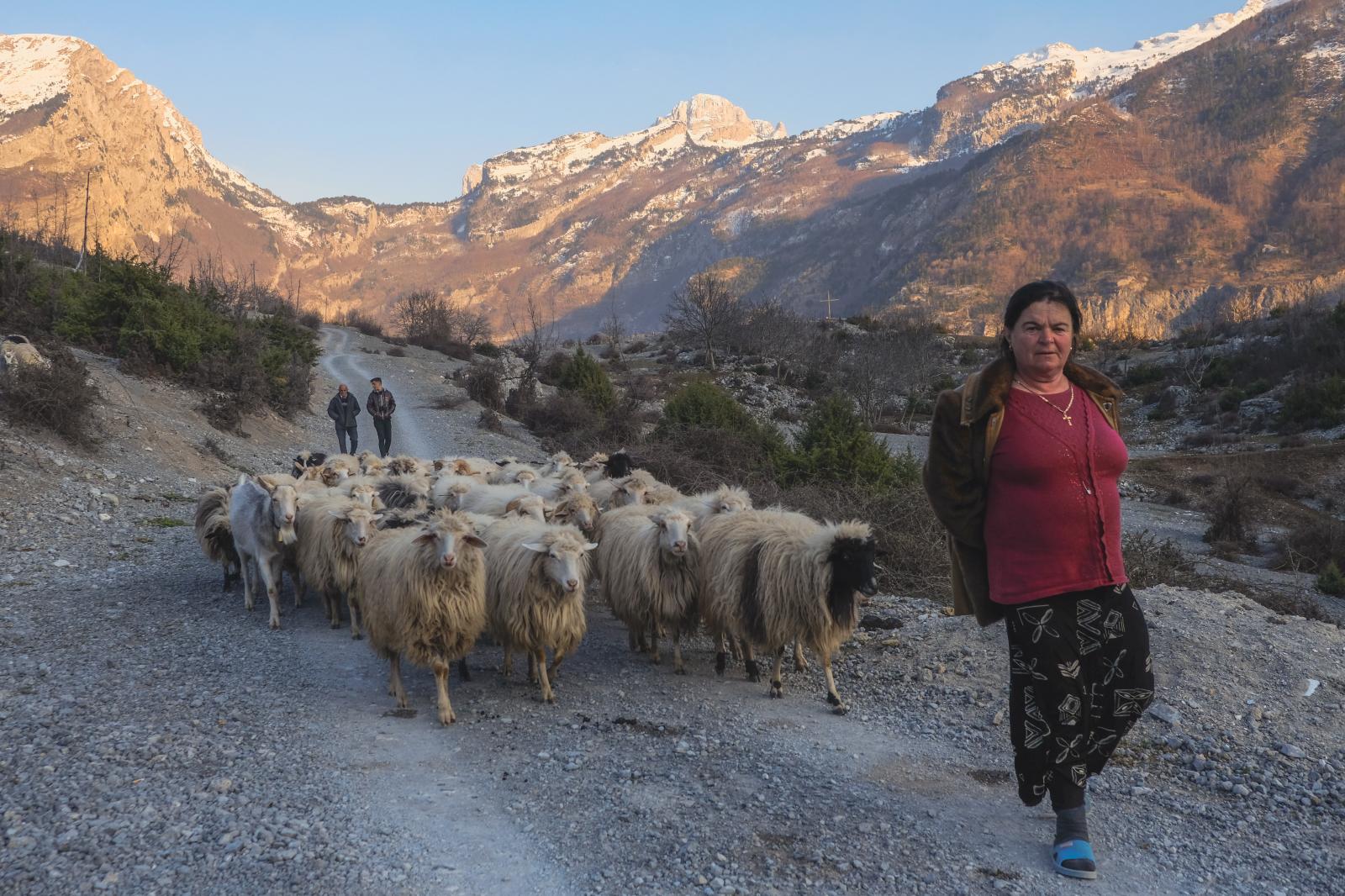 Shepherdess, Northern Albania