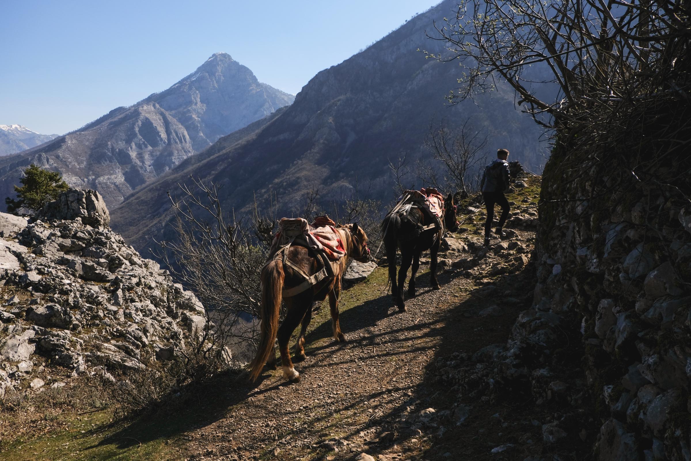 The Lament of the Mountains - Fonsi Bikaj walks with two horses near his family's...