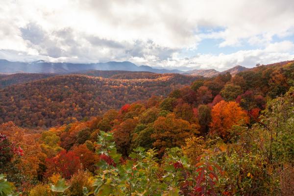 Leaves Changing Along the Blue Ridge Parkway | Buy this image