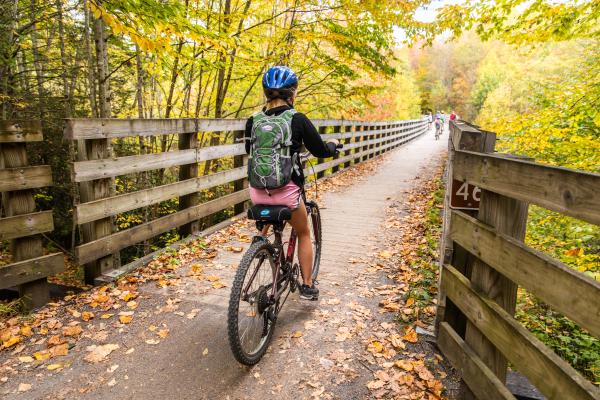 Downhill Bike Trail in Virginia is a Fun Fall Family Activity | Buy this image