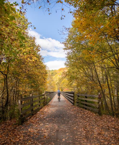 Fall Activities in Virginia | Buy this image