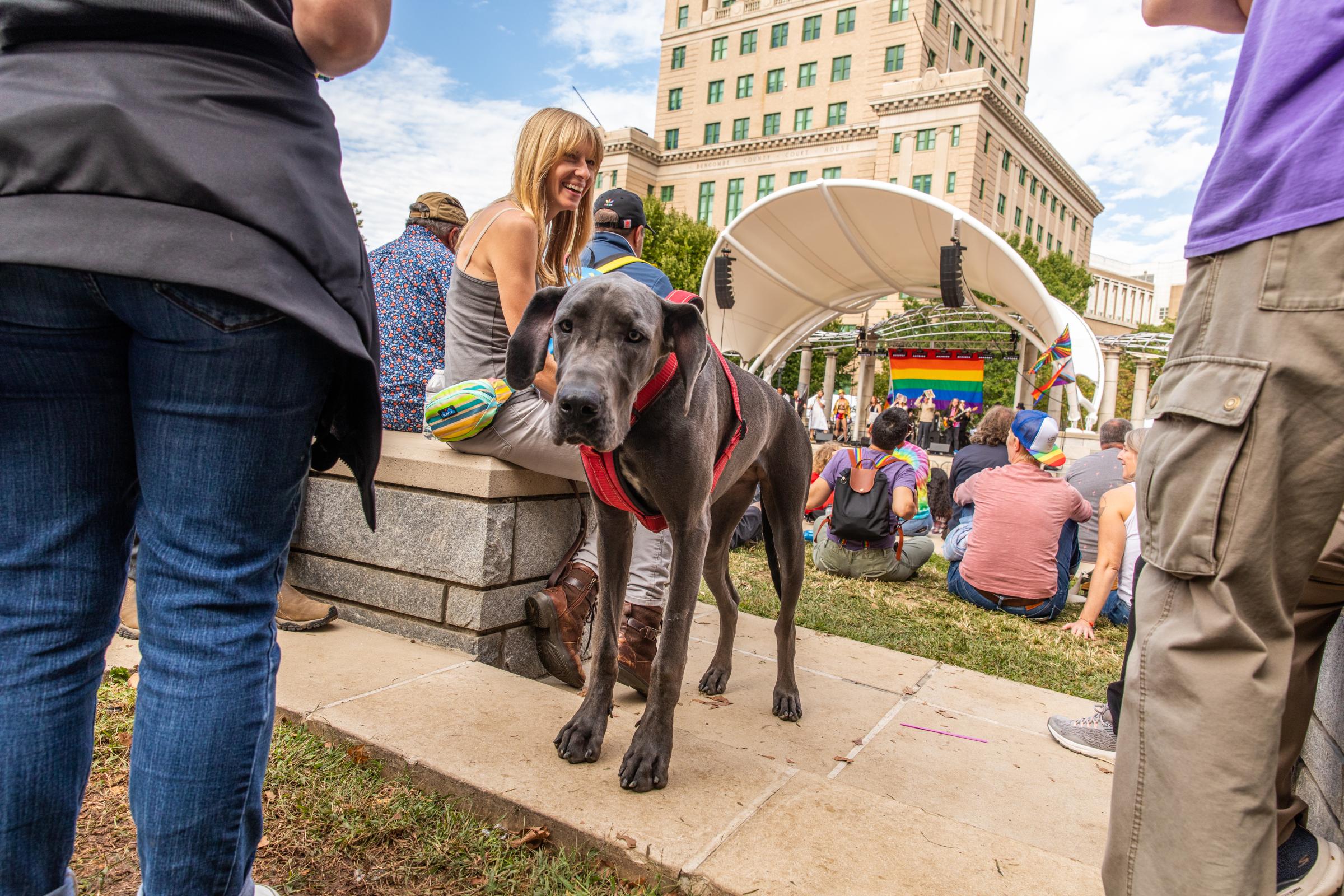 Blue Ridge Pride Festival 2022 - Dogs were welcome at the festival like they are in most areas of Asheville.