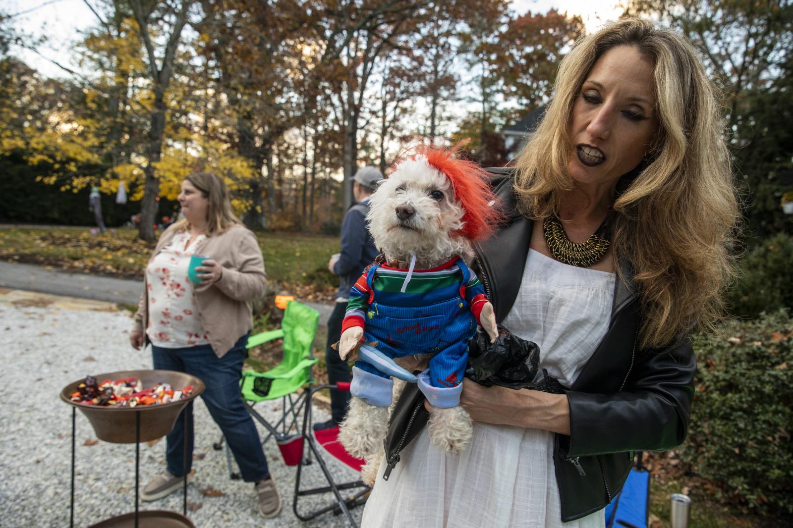 Chucky Dog for Halloween