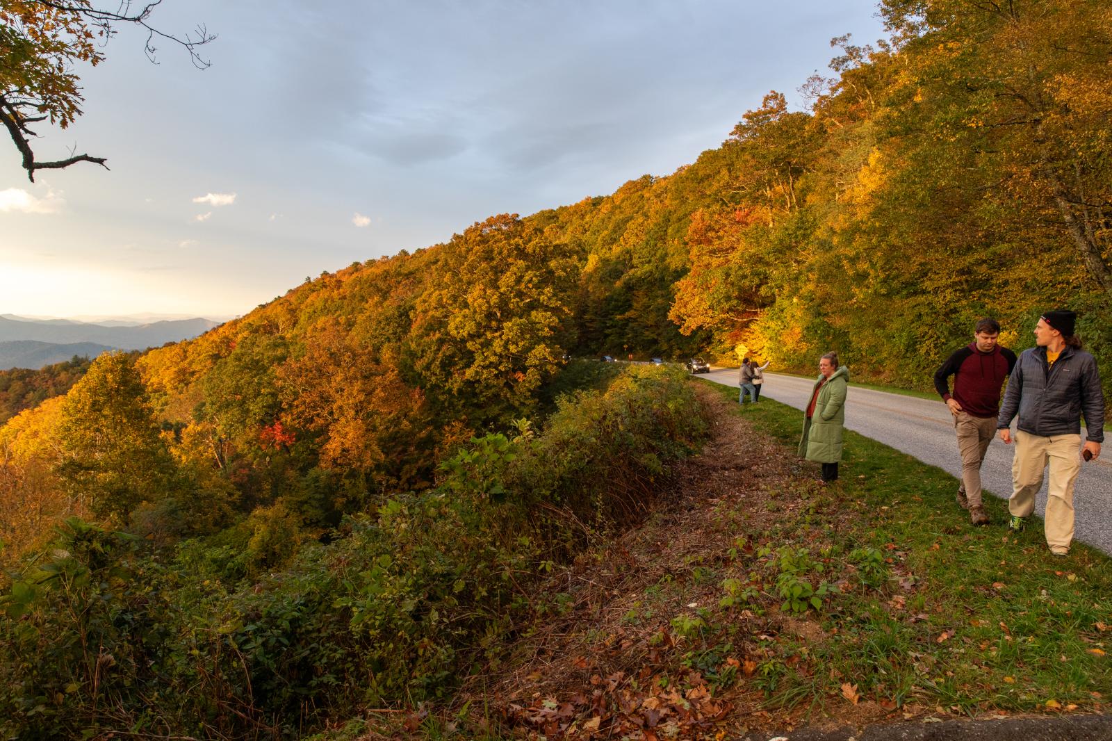 Fall Along the Blue Ridge Parkway | Buy this image