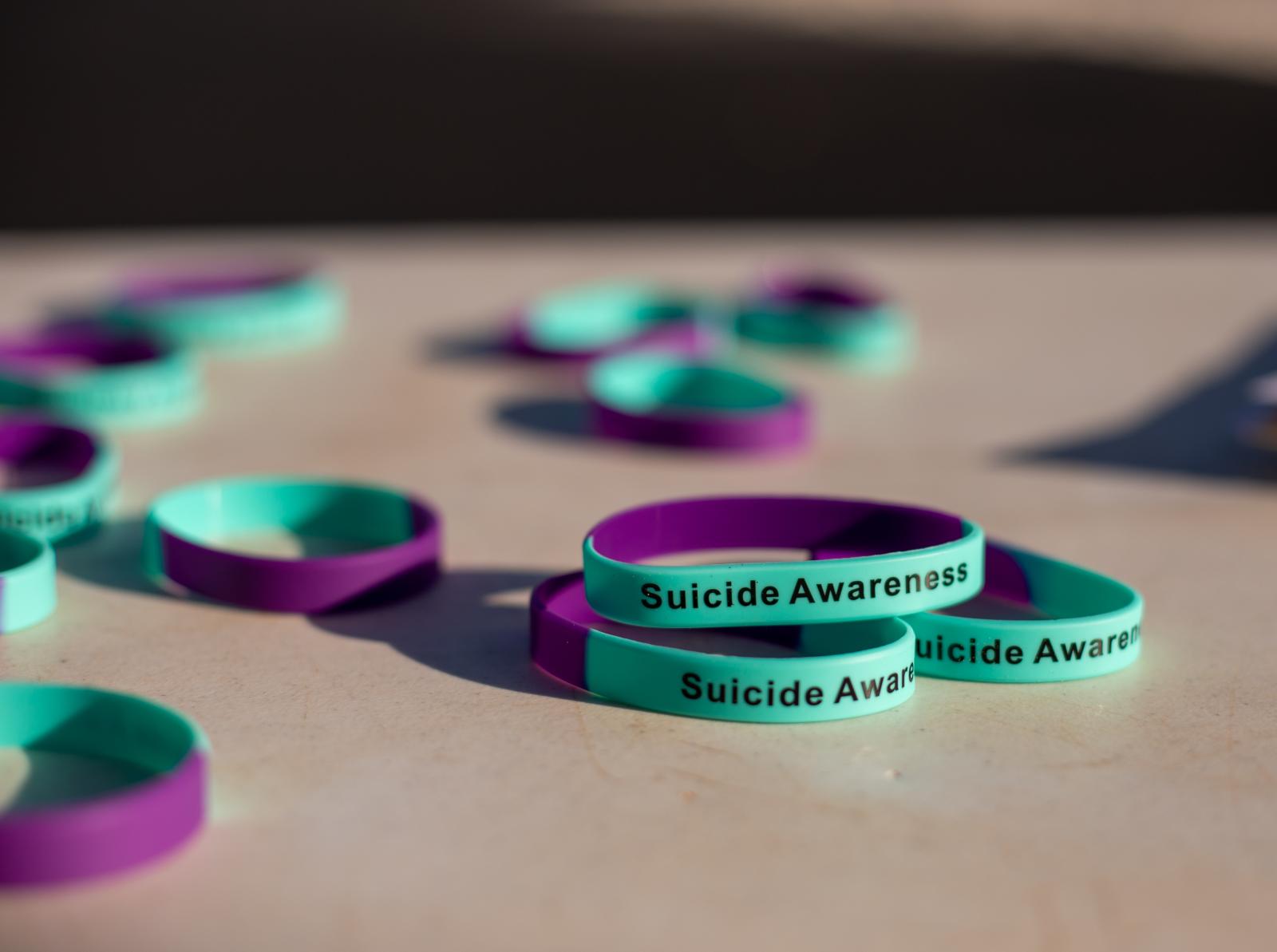 Out of the Darkness Walk - One School, Two Suicides