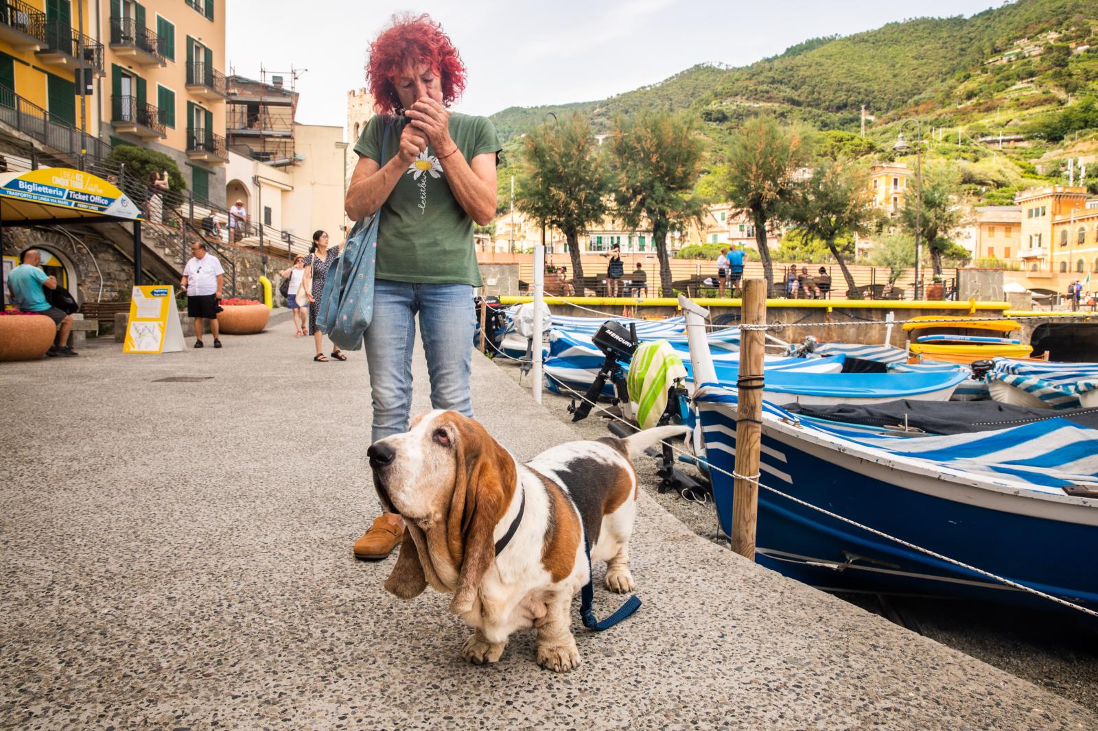 Basset Hound and a Smoke Break | Buy this image