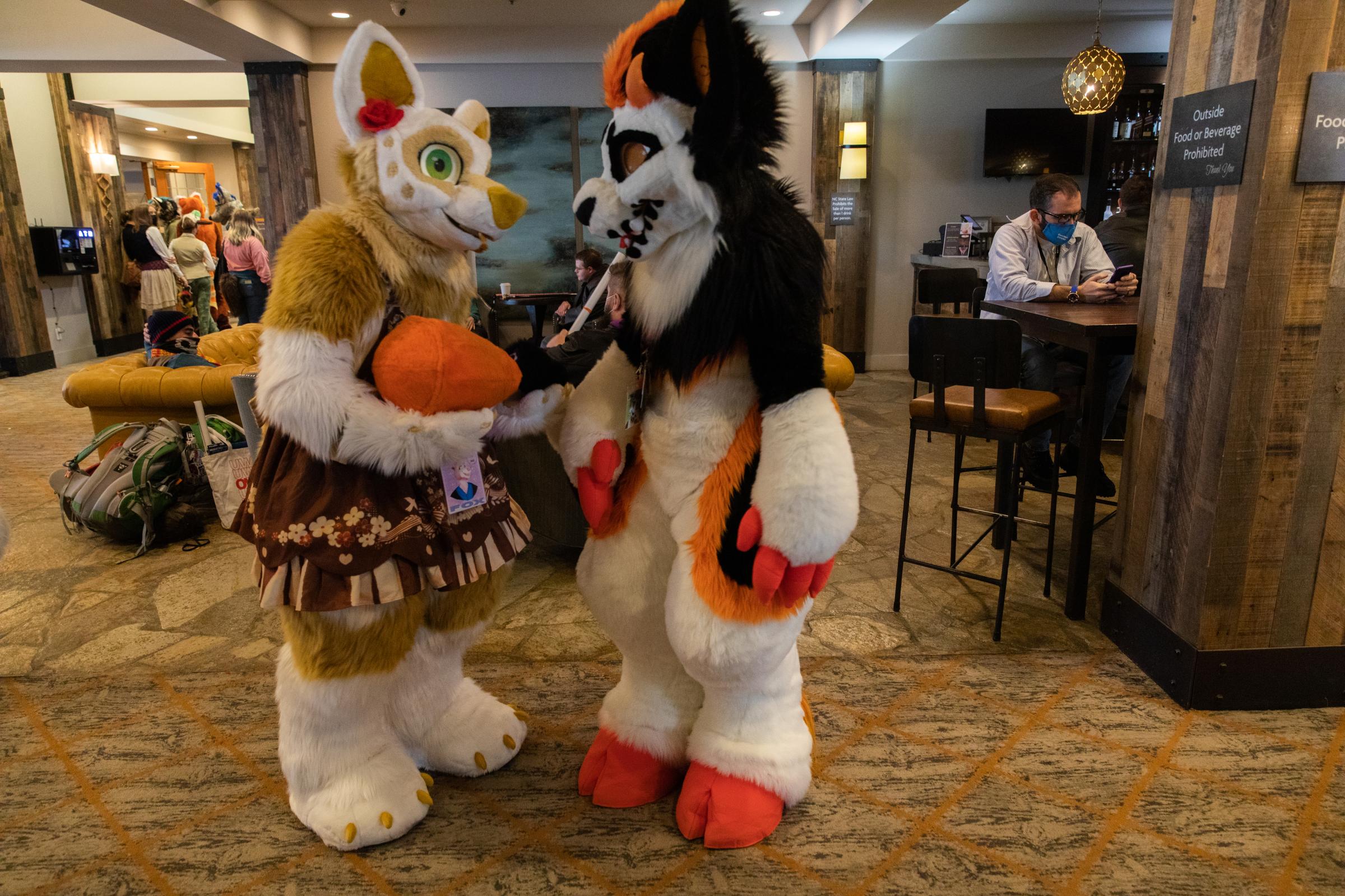 Furry Fandom - Furries meet in the lobby of the hotel. Some furries don't speak while in their fursuits but...