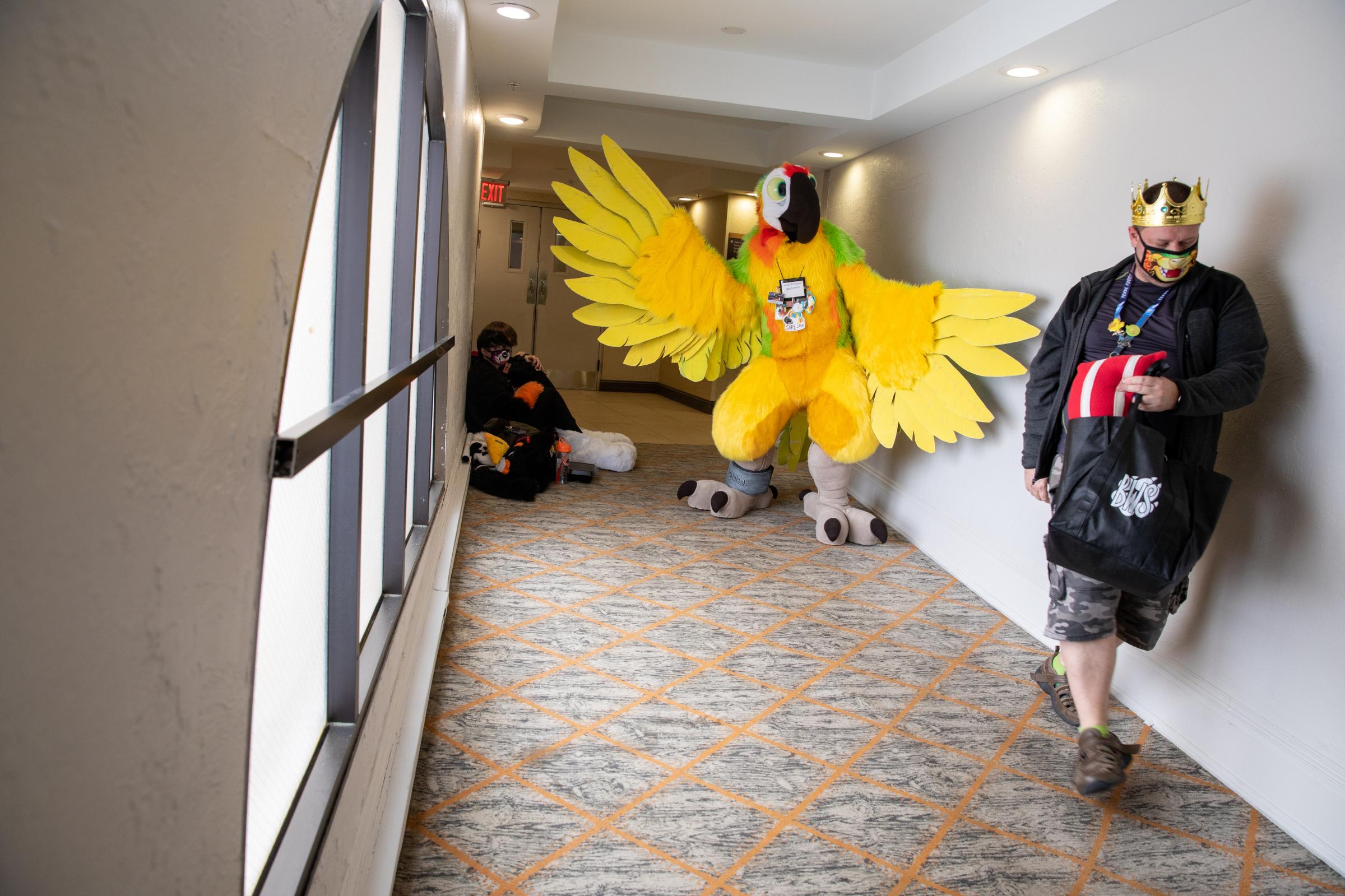 Furry Fandom - Participants can spend several thousand dollars to have a fursuit made. Tony Mara said a partial...